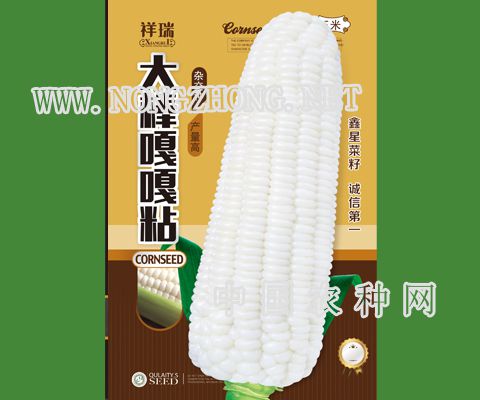 大棒嘎嘎粘